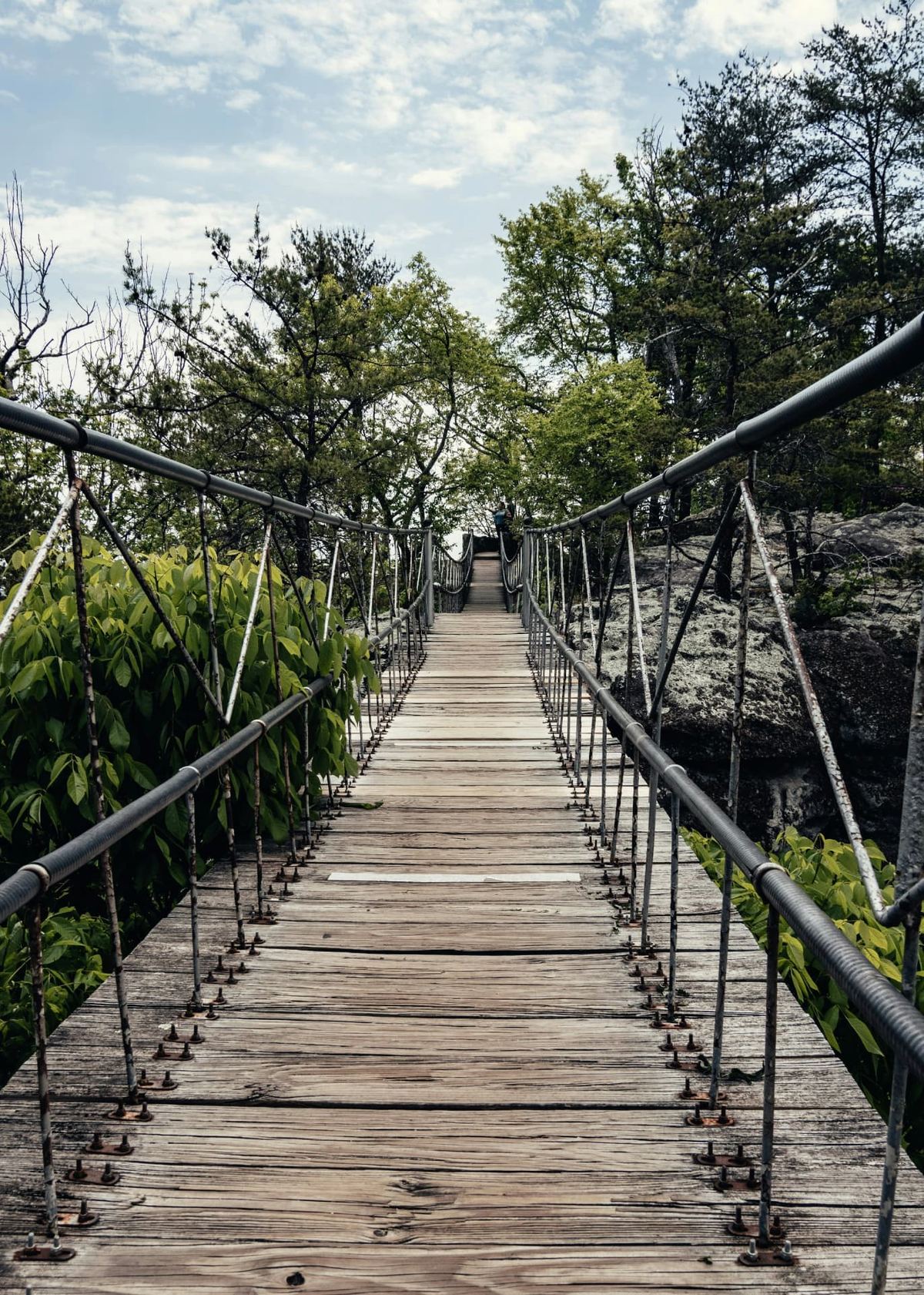 A long wooden suspension footbridge leading into sunlit woodland