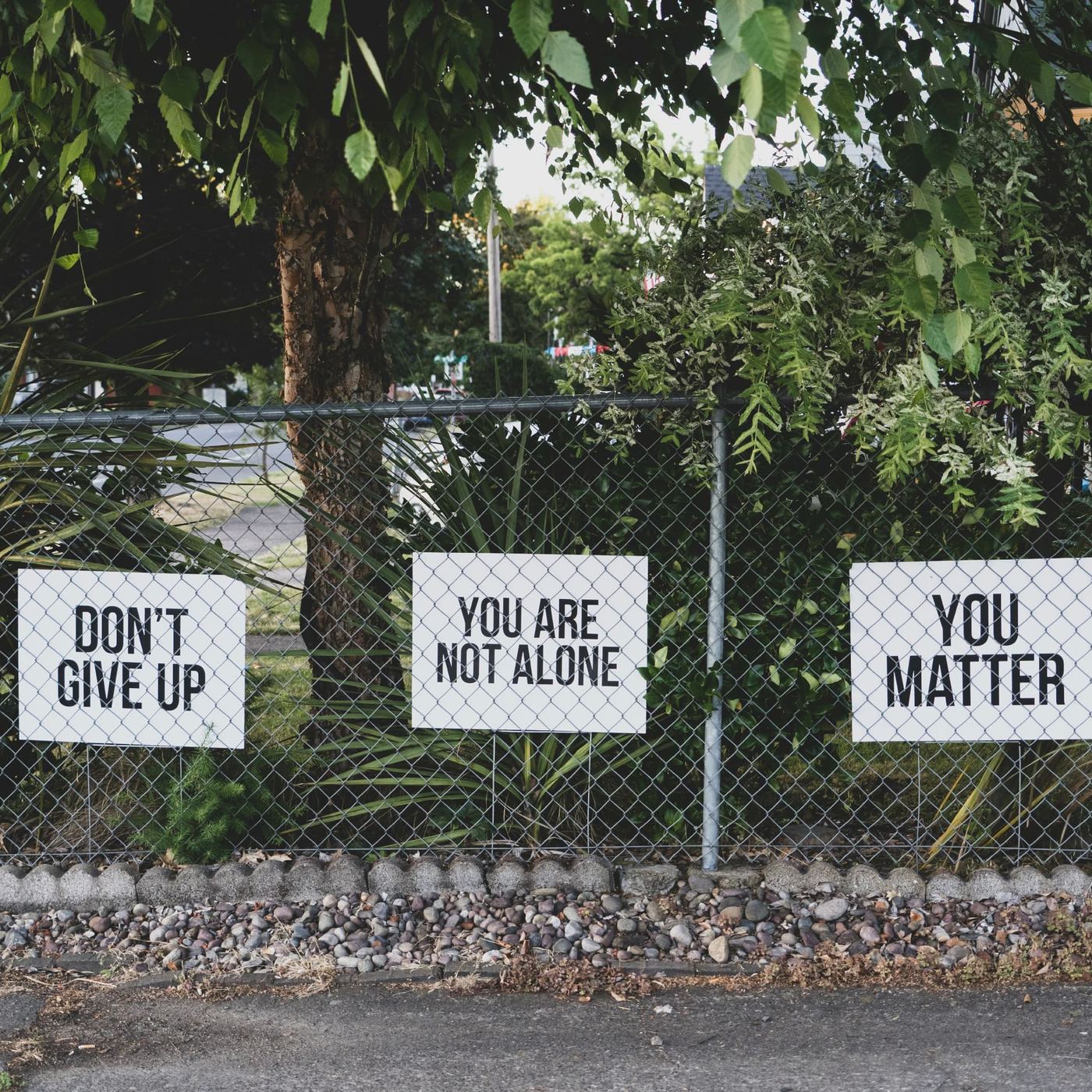 Handmade signs on a garden fence reading 'Don't give up', 'You are not alone' and 'You matter'