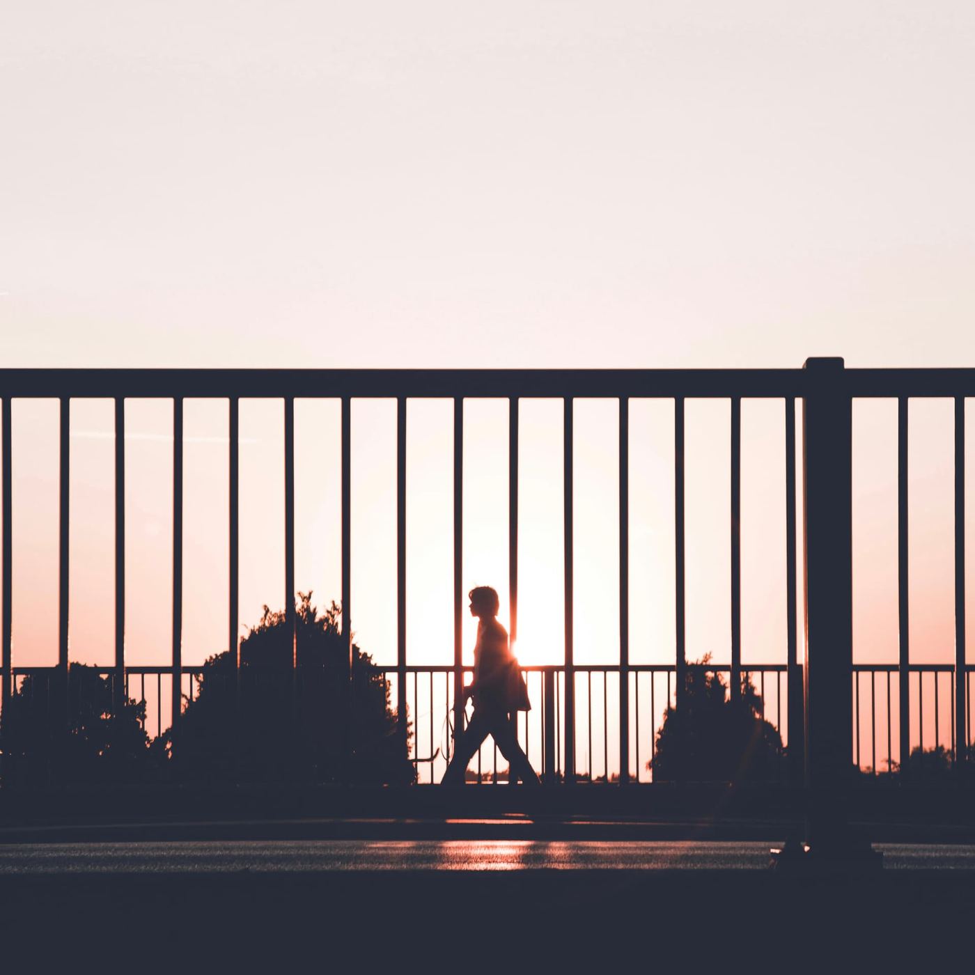 A person silhouetted against a pink sunset while walking a dog along a railed bridge