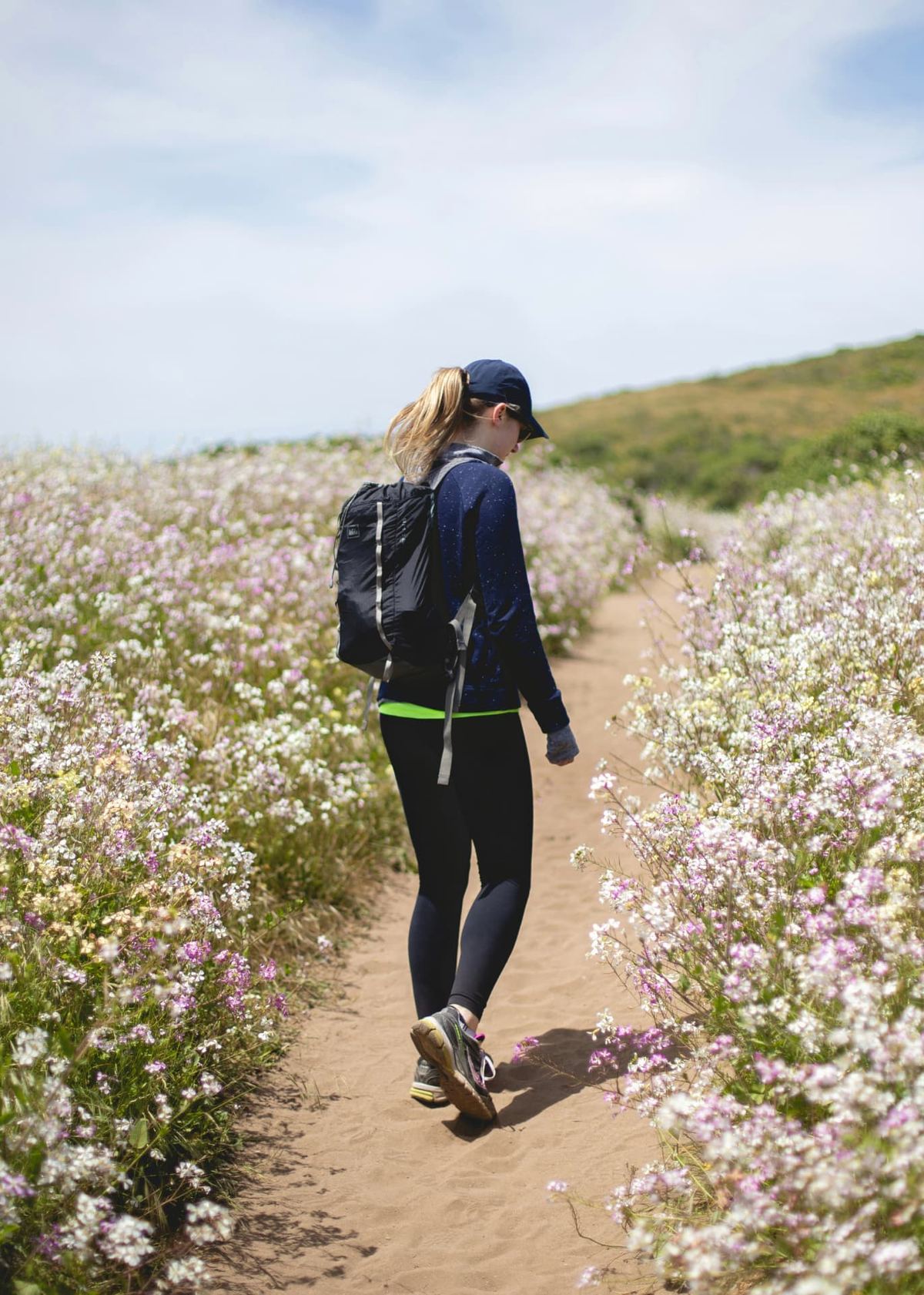 A walker in a cap and daypack following a sandy path through waist-high wildflowers on a coastal headland